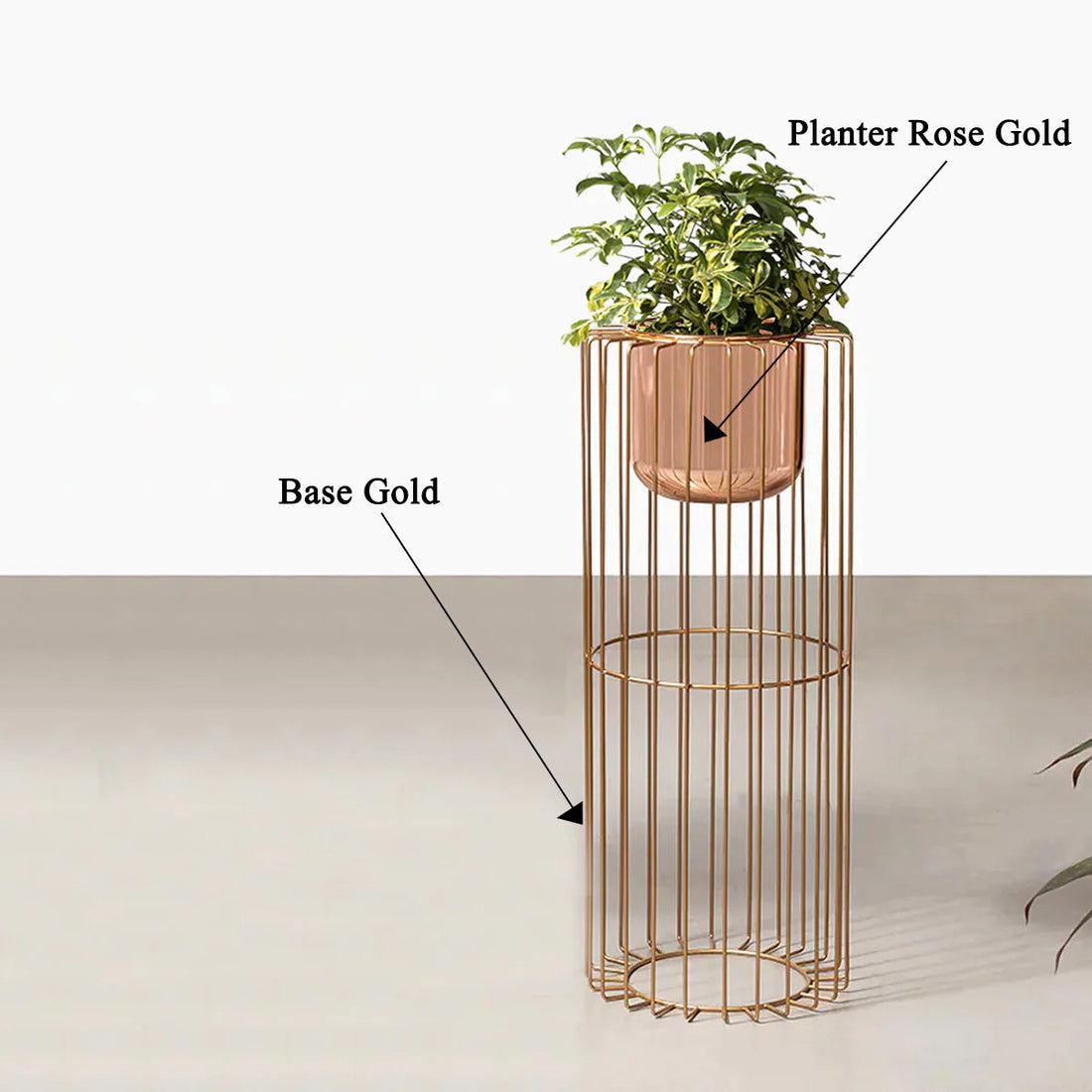 Botanic Couture Planters - Medium - Rose Gold