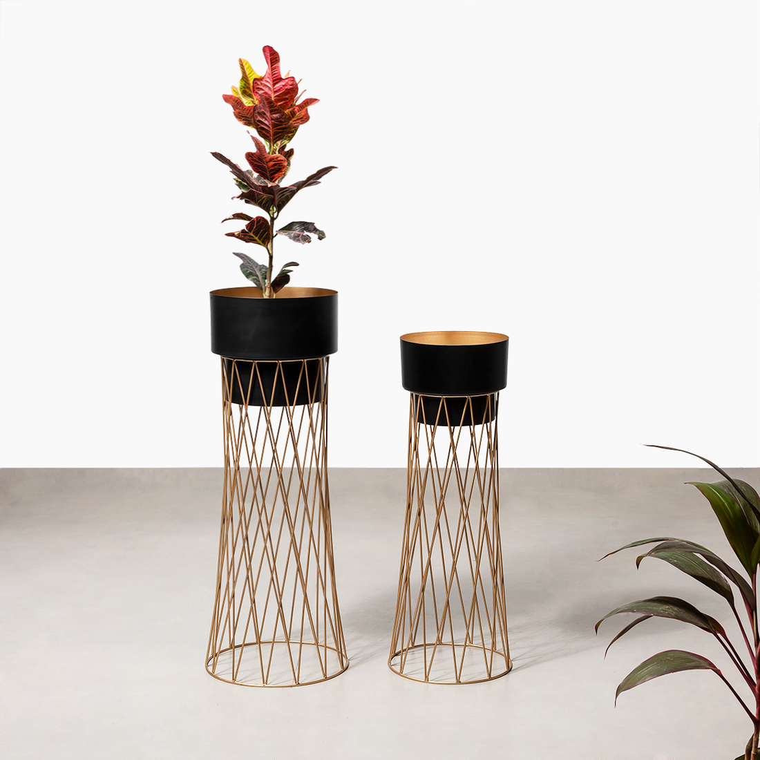 Zen Botanics Planters Set of 2 - Black