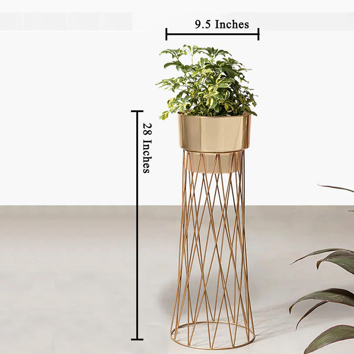 Zen Botanics Planters - Medium - Gold