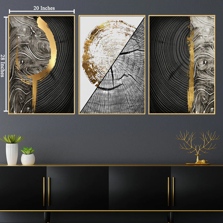 Beaufort Royale Framed Canvas Wall Paintings - Set of 3